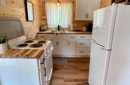 Livonia Center Cabin | Little Lodge in Hemlock