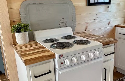 Livonia Center Cabin | Little Lodge in Hemlock