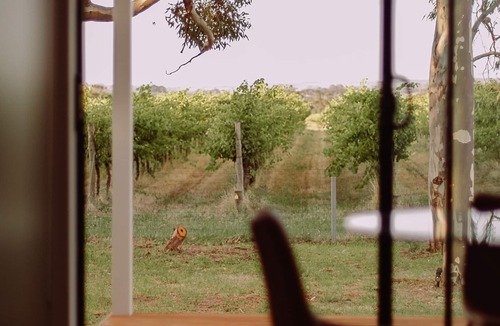 Willunga House | Little Lodge ~ Willunga - A Charming Little Cottage