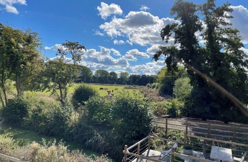 Harvington Apartment | Little Moat Studio