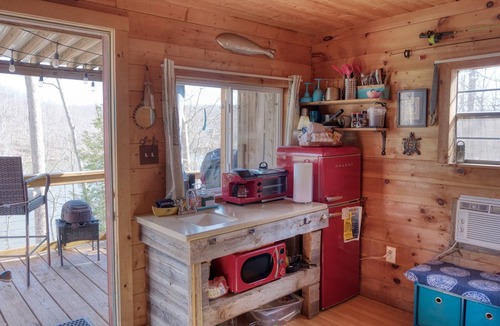 Goreville Cabin | Little Moon Lakefront Cabin with Dock & Firepit