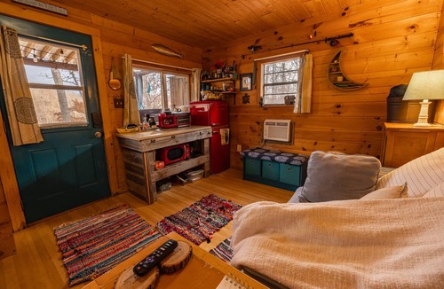 Goreville Cabin | Little Moon Lakefront Cabin with Dock & Firepit