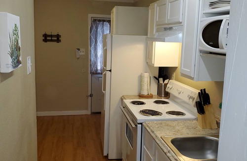 Springwoods Apartment | Little Oasis 1 BR 1 BA Washer/Dryer Pet Stays for Free !