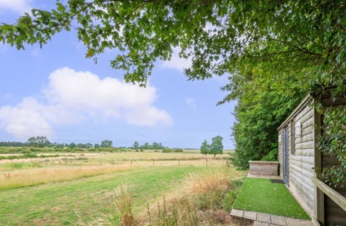 Woodbridge House | Little owl and owl