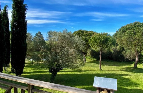 Ampuis House | Little Paradise, quiet, secluded, Provence 30 minutes south of Lyon
