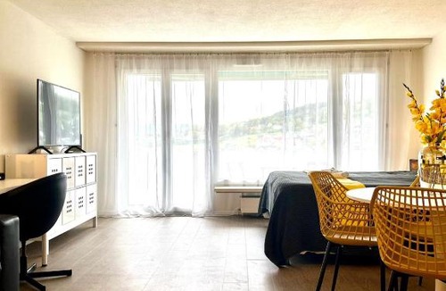 Dietikon District Apartment | Little Penthouse *