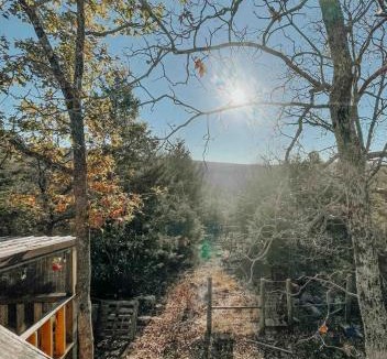 Park Hill Other | Little Piece of Heaven Cabin