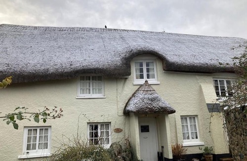 Bovey Tracey House | Little Reeds