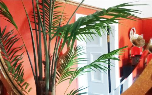 Dufftown Bed & Breakfast | Little Robin B&B