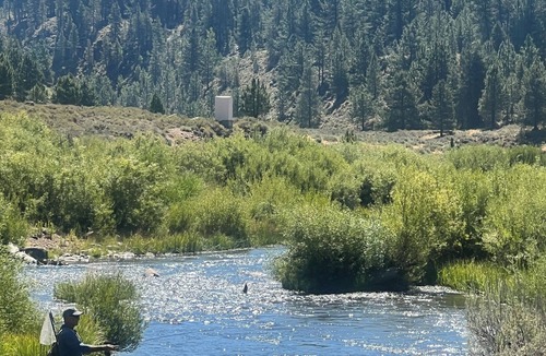 Sunnyside Cottage | Little Rock Cabin Tahoe City- Hot Tub, Pet Friendly, 1/2 mile walk to Lake Tahoe