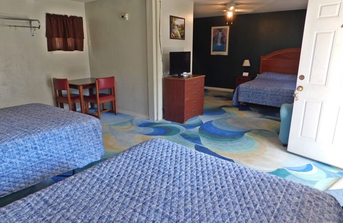 Murfreesboro Hotel | Little Shamrock Motel A1