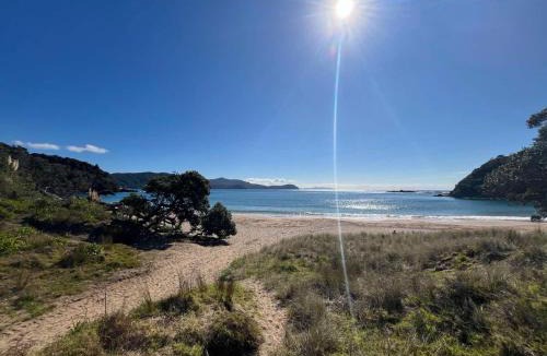 Waikawau House | Little Sister