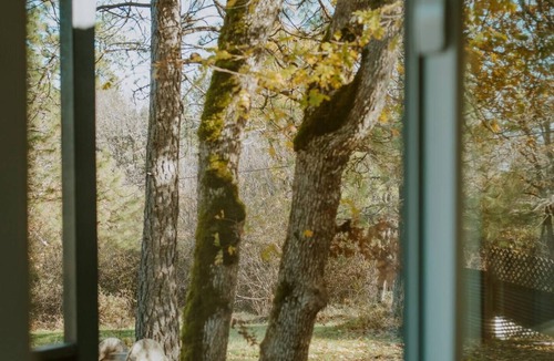 Central Point Apartment | Little Wolf Tiny Home cozy, pet friendly, secludednn