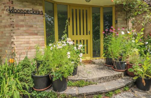 Martin House | Little Yaffle