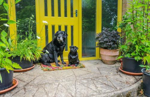 Martin House | Little Yaffle