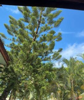 Lubok Buaya Cabin | LivBumi Oasis