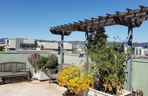 Pill Hill Condo | Live Close to Everything!