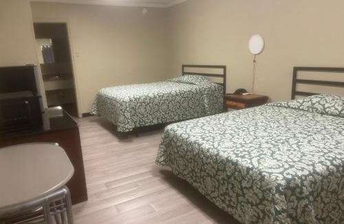 Gainesville Hotel | Live In Lodge Gainesville