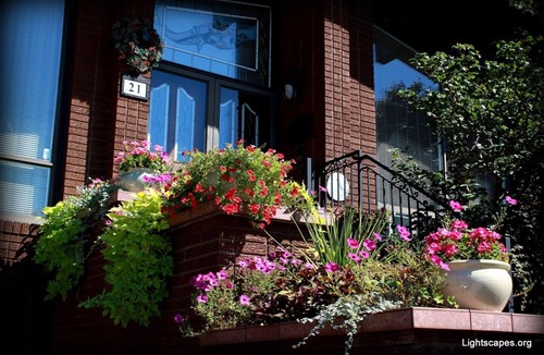 Humber Summit House | Live Like a Queen in a Stunning Chalet-Style Home - YYZ