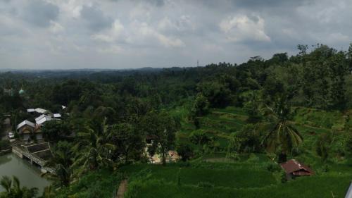Kecamatan Montong Gading Hotel | Live lombok homestay