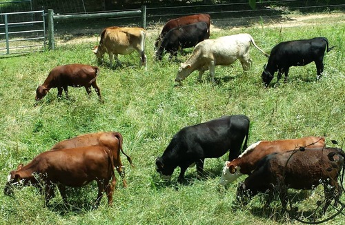 Bynum Apartment | Live the farm life!