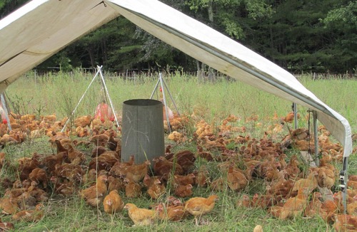 Bynum Apartment | Live the farm life!