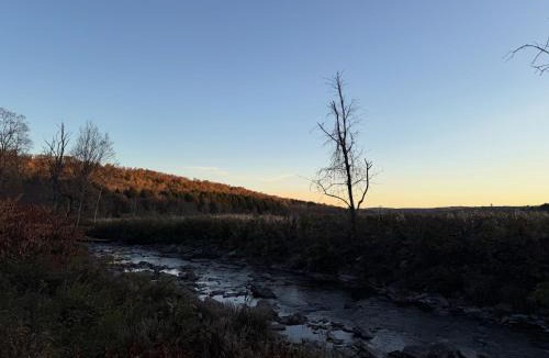 Willet Other | Live The Outdoors