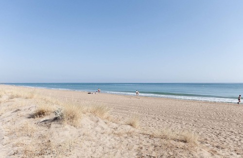 Molinell Apartment | Llebeig 2 - Apartment In Oliva. Free Wifi