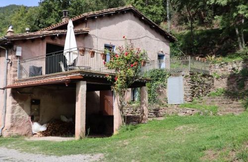 Riudaura House | Llevant, El Molí de la Plana