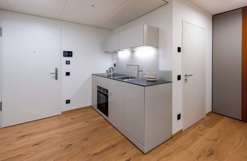 Stabio Apartment | Lo Scudo di Stabio 1 Zi.Studio Süd. by Interhome