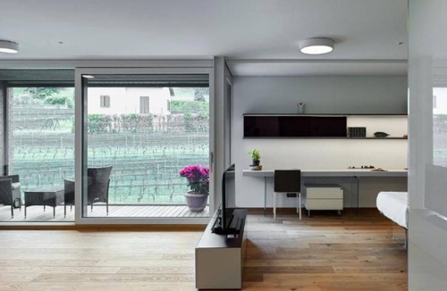 Stabio Apartment | Lo Scudo di Stabio - 50 m² vineyard view LST