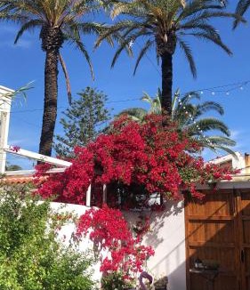 Poble Nou del Delta House | Lo Segador