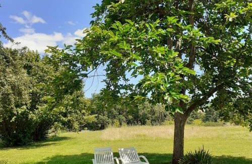 Saint-Sylvestre-sur-Lot House | location chambre d hotes clodeguy No 1