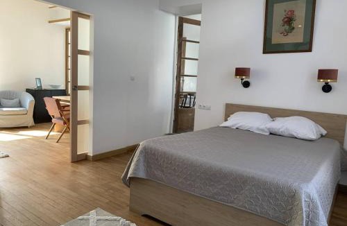 Courlancy Apartment | Location Conviviale à Reims avec Parking et Terrasse privée - FR-1-870-19