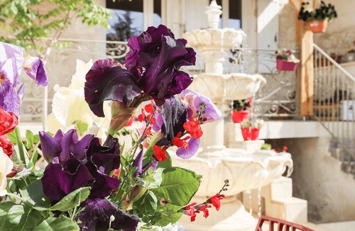 Issigeac Cottage | Location, Cottage, Gîte Sources en Périgord