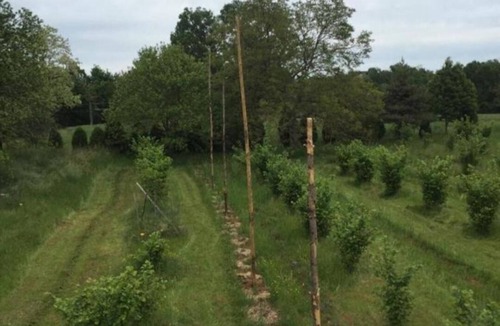 Gourdon House | Location de Vacances en Bouriane