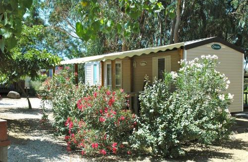 Aregno Other | Location du Ranch Cantarettu