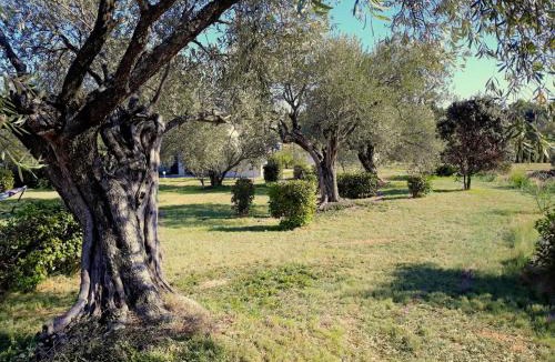 Tourouzelle Villa | location Silvis dans la propriété Elaia