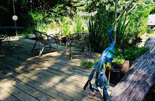 Olonne-sur-Mer Cabin | Location Tipi en Forêt 5min des Plages