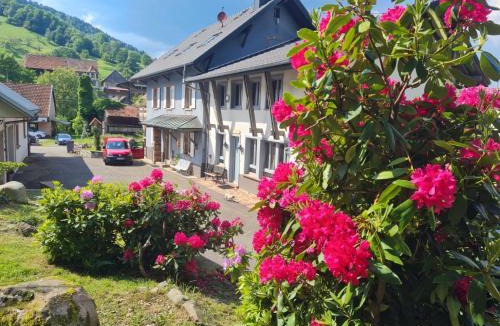 Sondernach House | Locations des 3 sommets avec Sauna et Spa en Alsace