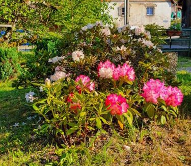 Le Hohwald Apartment | Locations Dupertuis Alsace