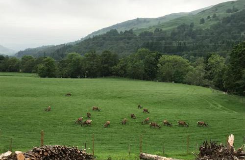 Killin Apartment | Lochay Lodges