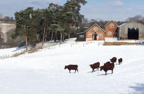 Ipswich House | Lodge Farm