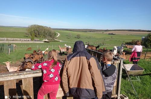 Badonvilliers-Gerauvilliers Other | Lodge 1 insolite sur camping à la ferme