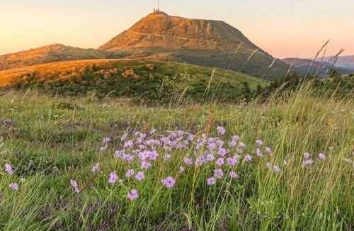 Nebouzat Ski Chalet | Lodge Premium 1