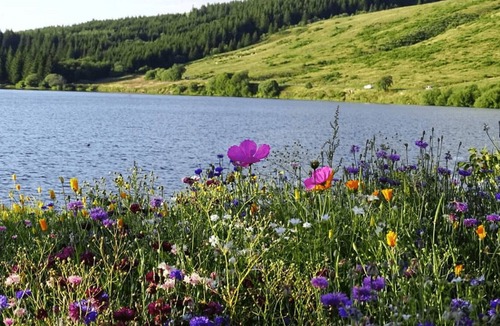 Nebouzat Ski Chalet | Lodge Premium 1