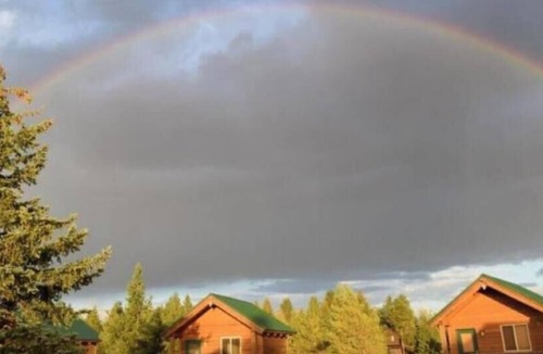 Last Chance Cabin | Lodge Room - 1 Queen