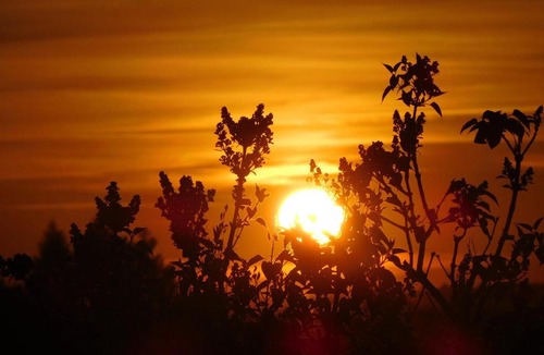 Monclar-de-Quercy Cabin | LODGE ROYAL QUERCY