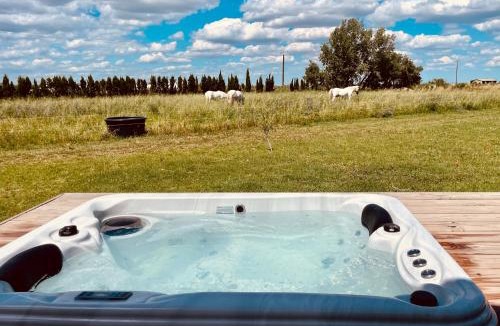 Saint-Laurent-d'Aigouze Cabin | Lodge Sainte Sara