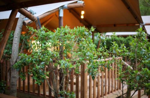 Avignon Other | Lodges & Nature - 49